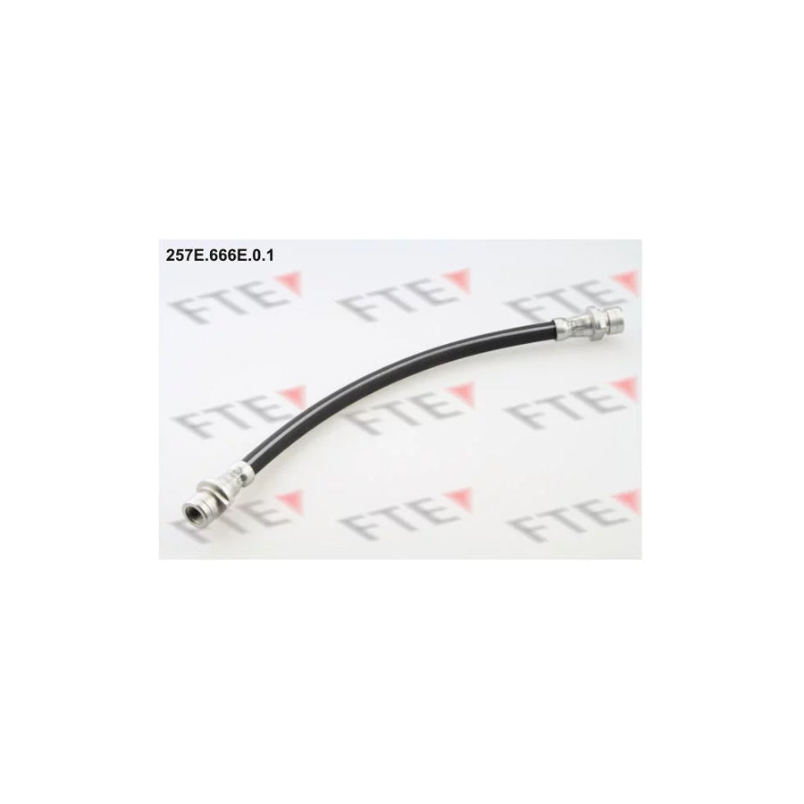 FTE 257E.666E.0.1 Brake Hose