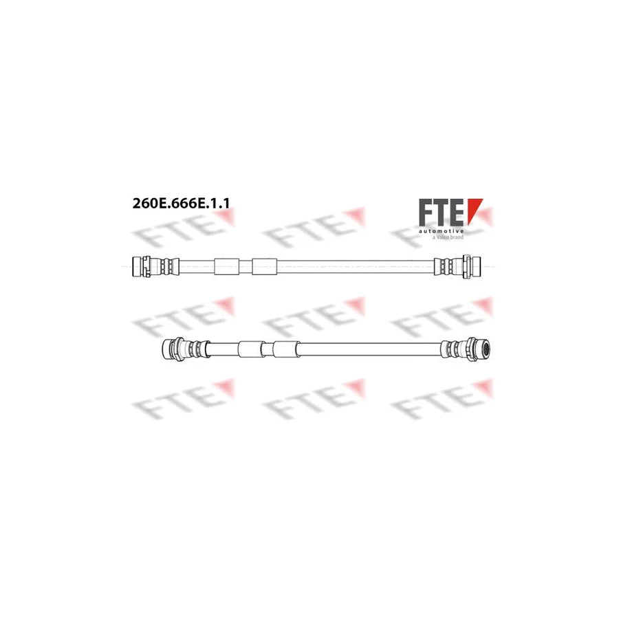 FTE 260E.666E.1.1 Brake Hose