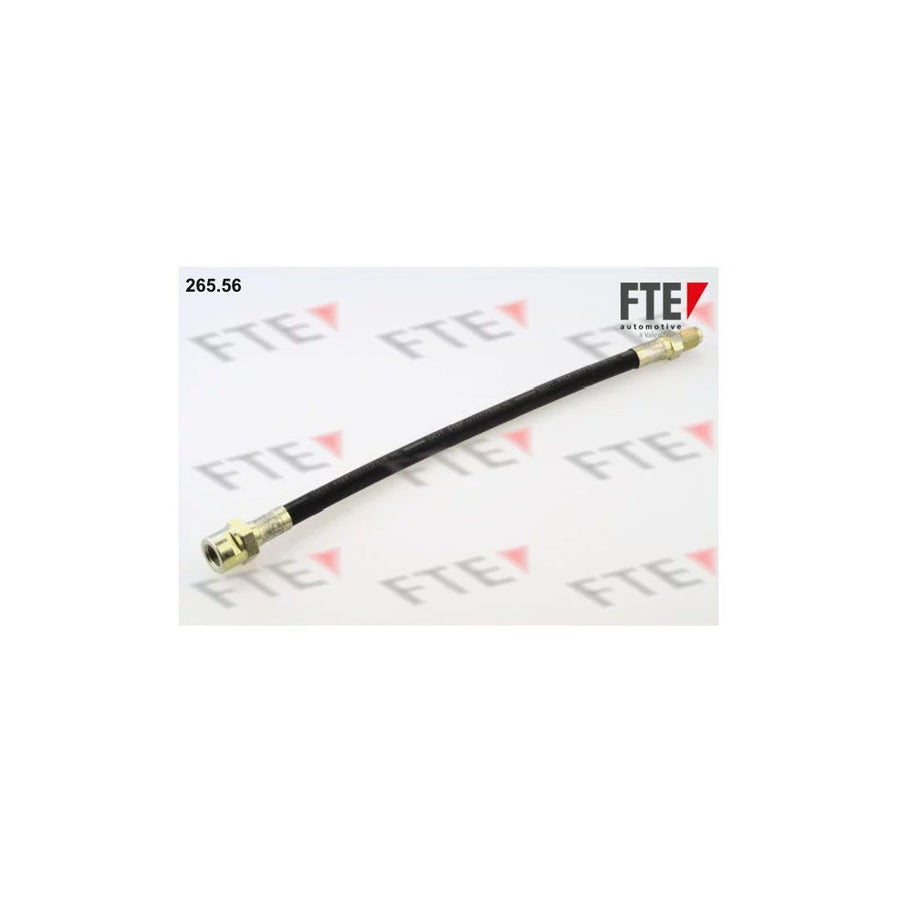 FTE 265.56 Brake Hose