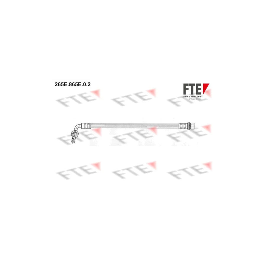 FTE 265E.865E.0.2 Brake Hose for Toyota Rav4 II Off-Road (Xa20)