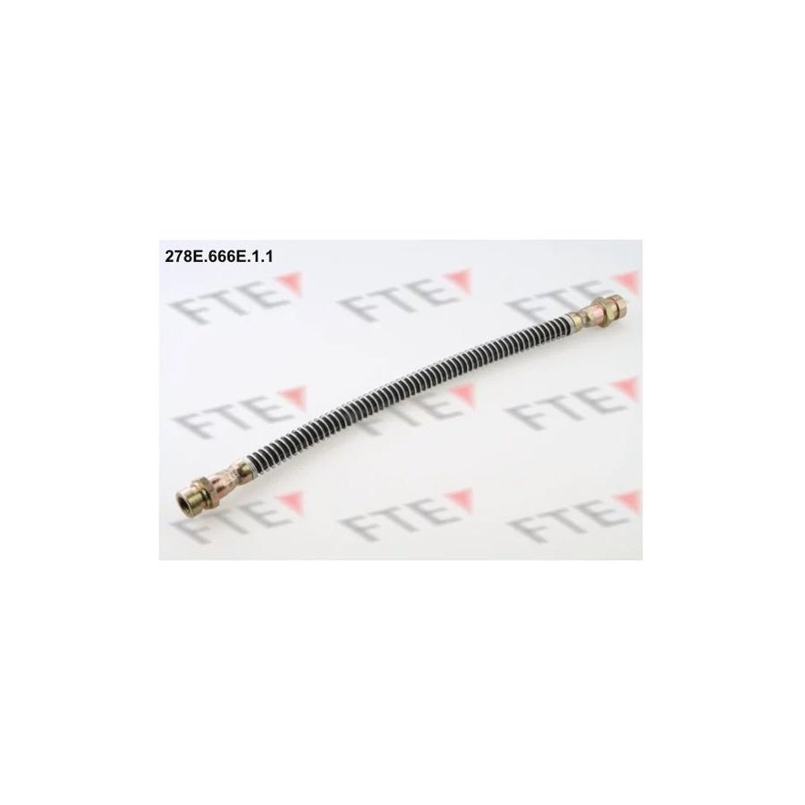 FTE 278E.666E.1.1 Brake Hose for Hyundai Amica / Atoz (MX)