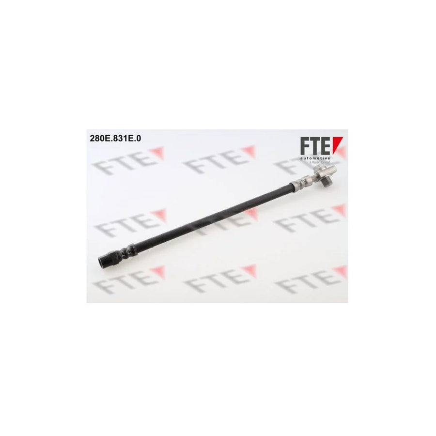 FTE 280E.831E.0 Brake Hose for Audi A8 D2 (4D2, 4D8)