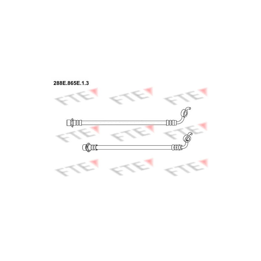 FTE 288E.865E.1.3 Brake Hose for Toyota Rav4 III Off-Road (Xa30)