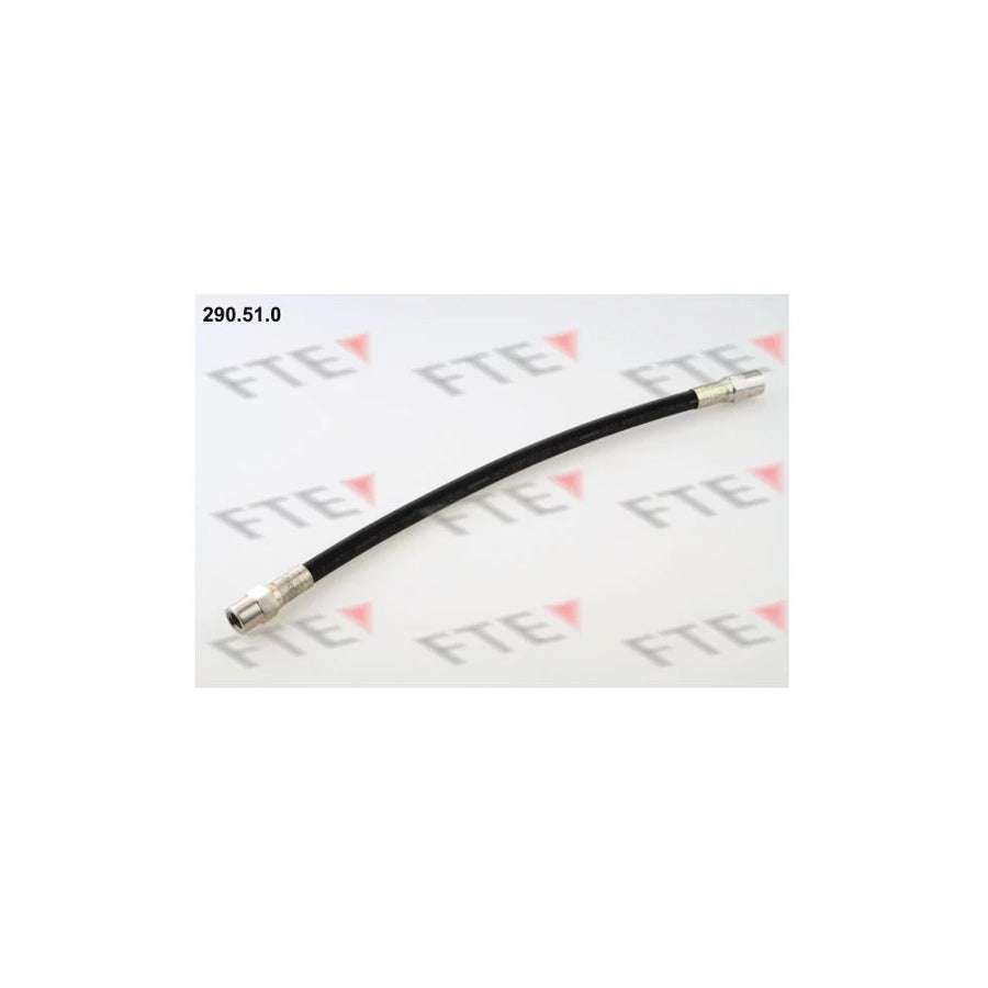 FTE 290.51.0 Brake Hose