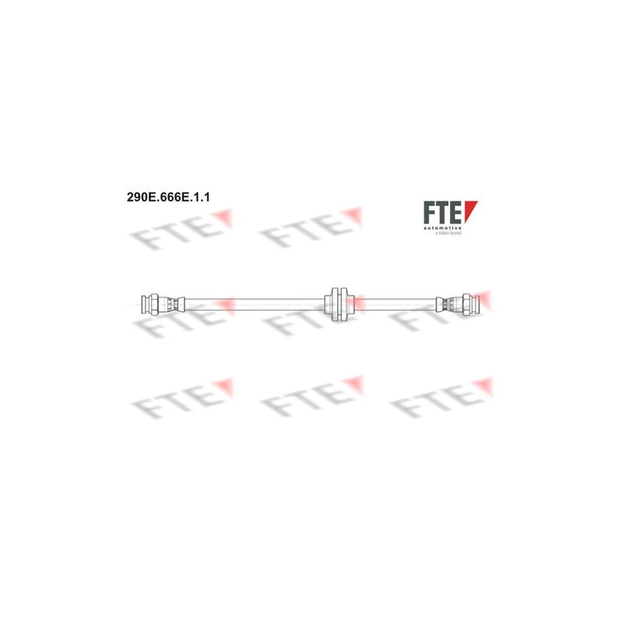 FTE 290E.666E.1.1 Brake Hose