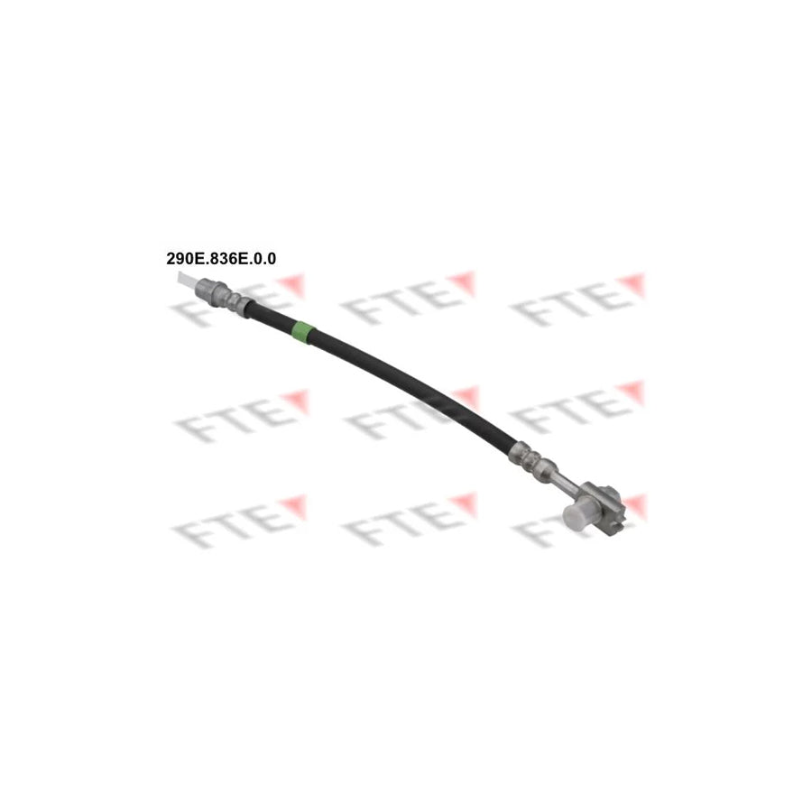 FTE 290E.836E.0.0 Brake Hose for VW Passat