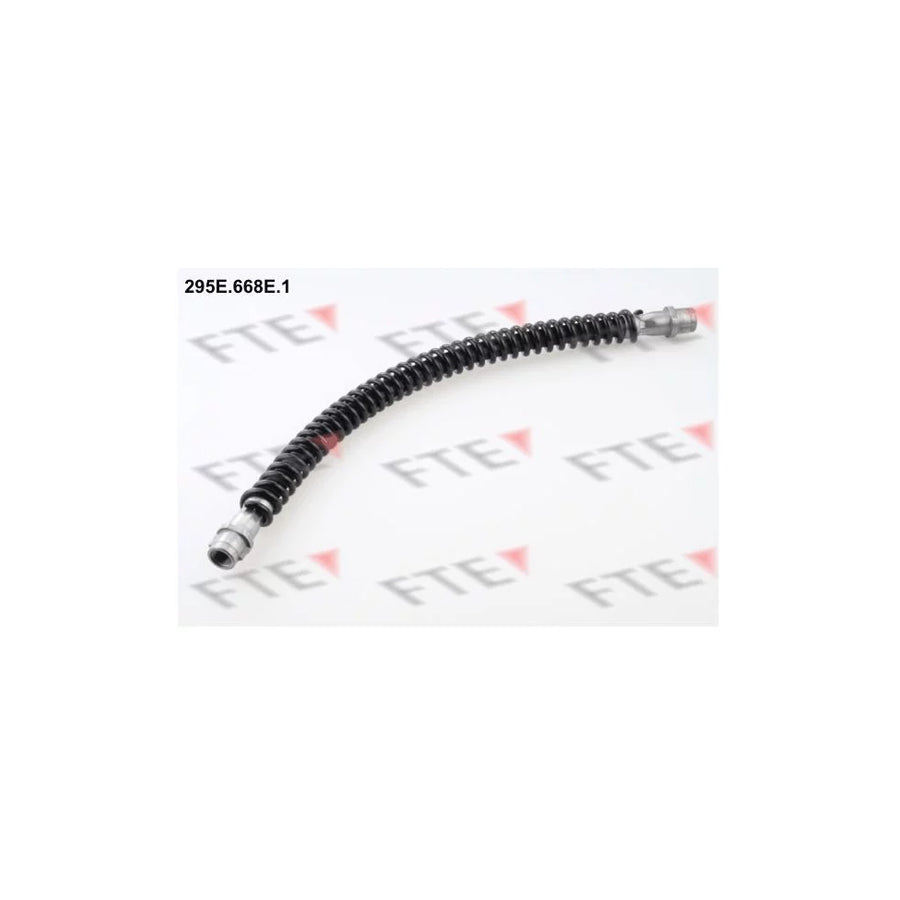 FTE 295E.668E.1 Brake Hose