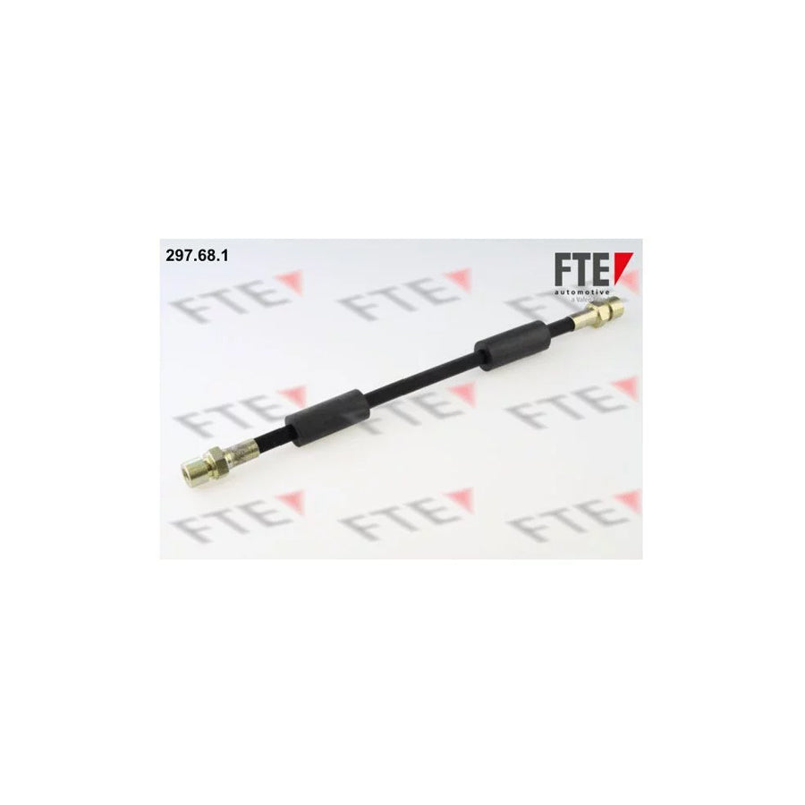 FTE 297.68.1 Brake Hose