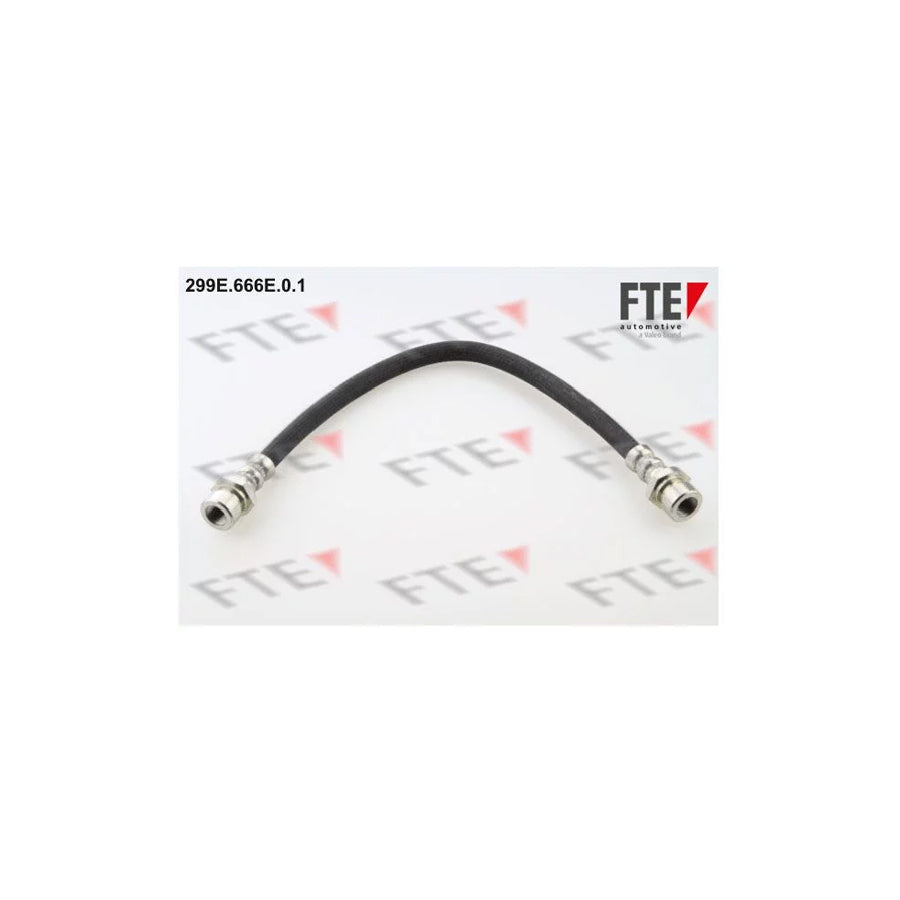 FTE 299E.666E.0.1 Brake Hose for KIA Rio