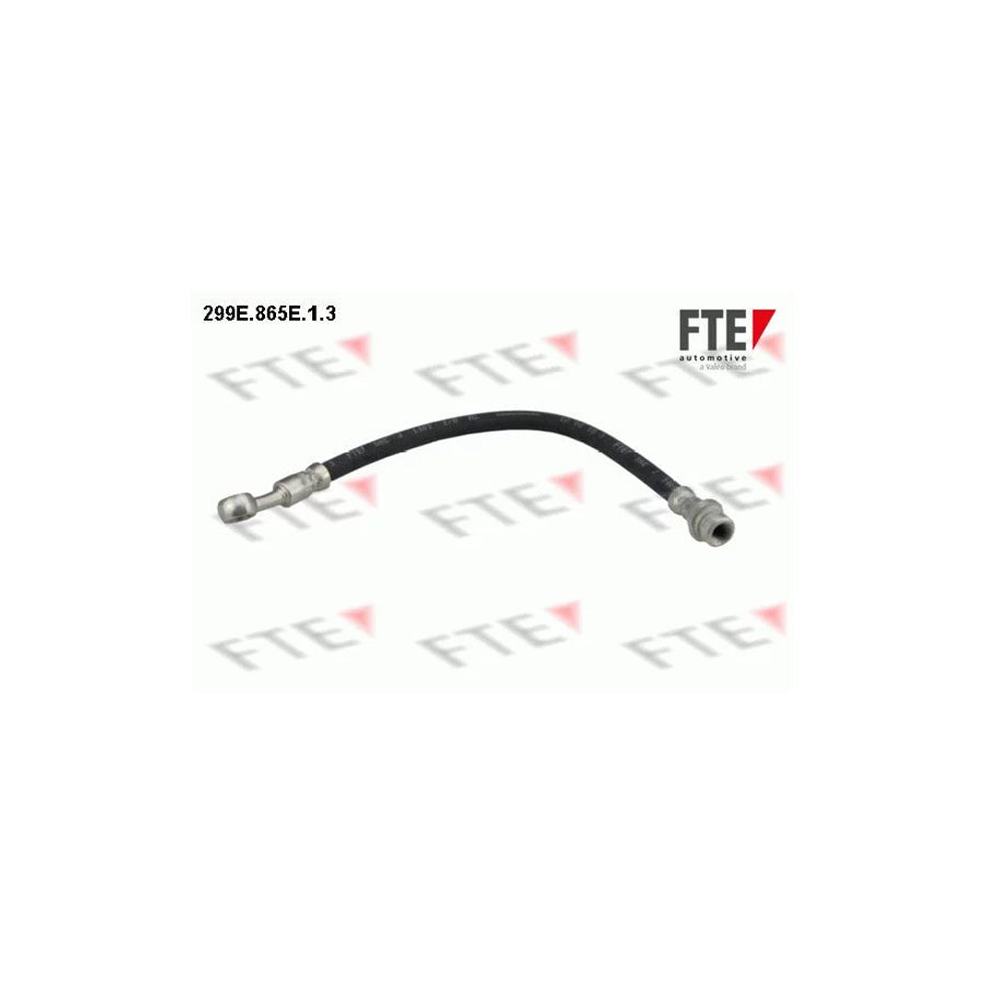 FTE 299E.865E.1.3 Brake Hose