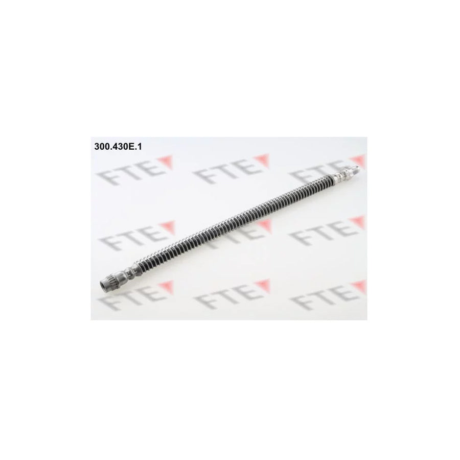 FTE 300.430E.1 Brake Hose