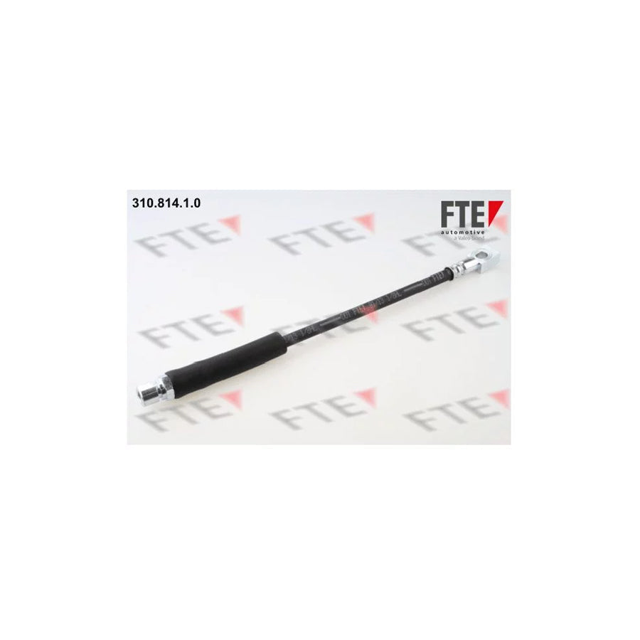 FTE 310.814.1.0 Brake Hose