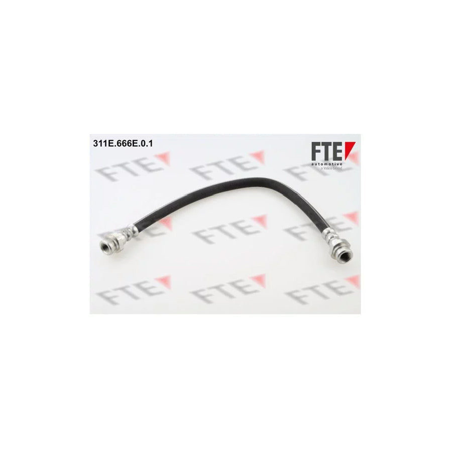 FTE 311E.666E.0.1 Brake Hose