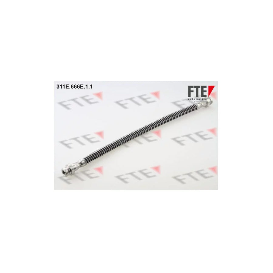 FTE 311E.666E.1.1 Brake Hose