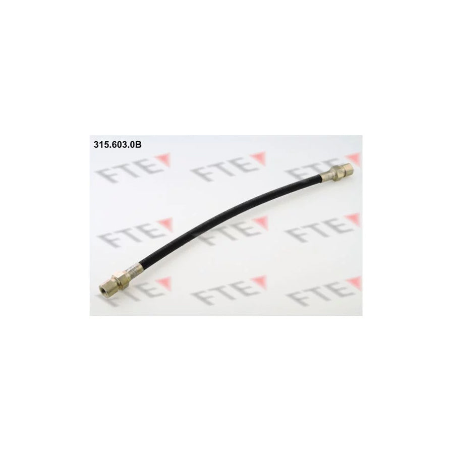 FTE 315.603.0B Brake Hose for Ford Fiesta