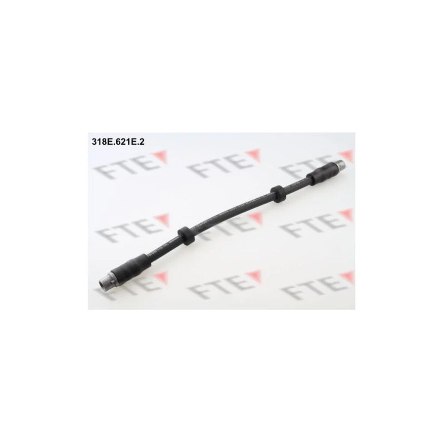 FTE 318E.621E.2 Brake Hose for Audi A6