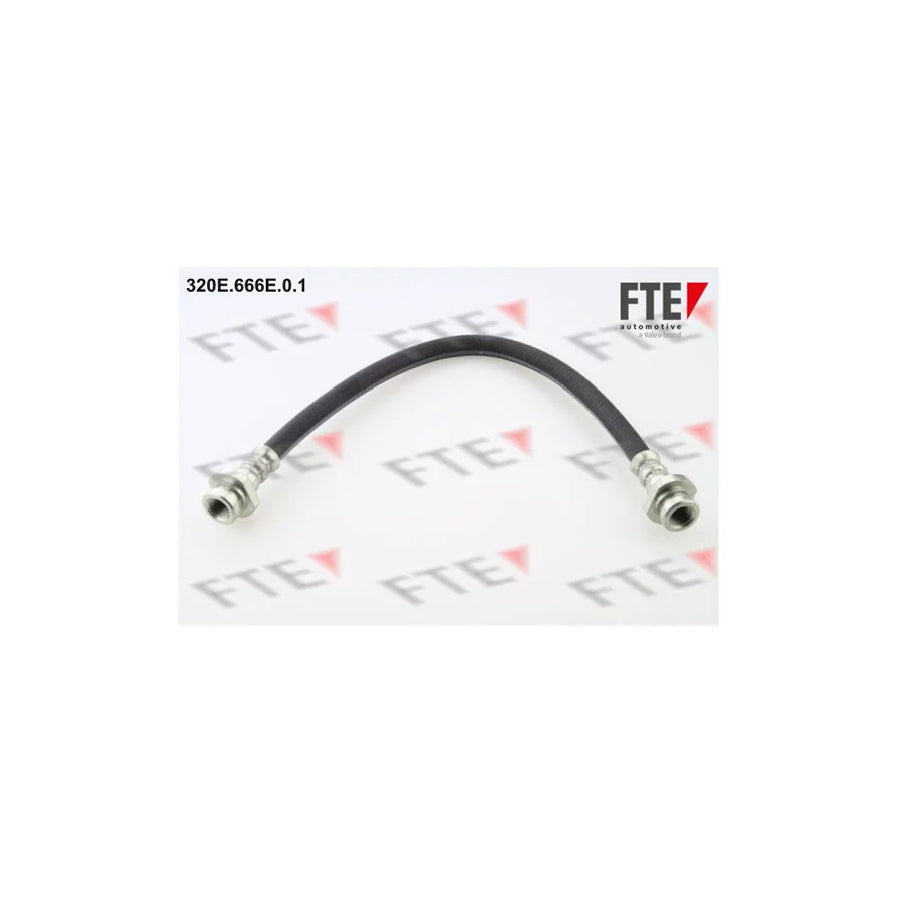FTE 320E.666E.0.1 Brake Hose