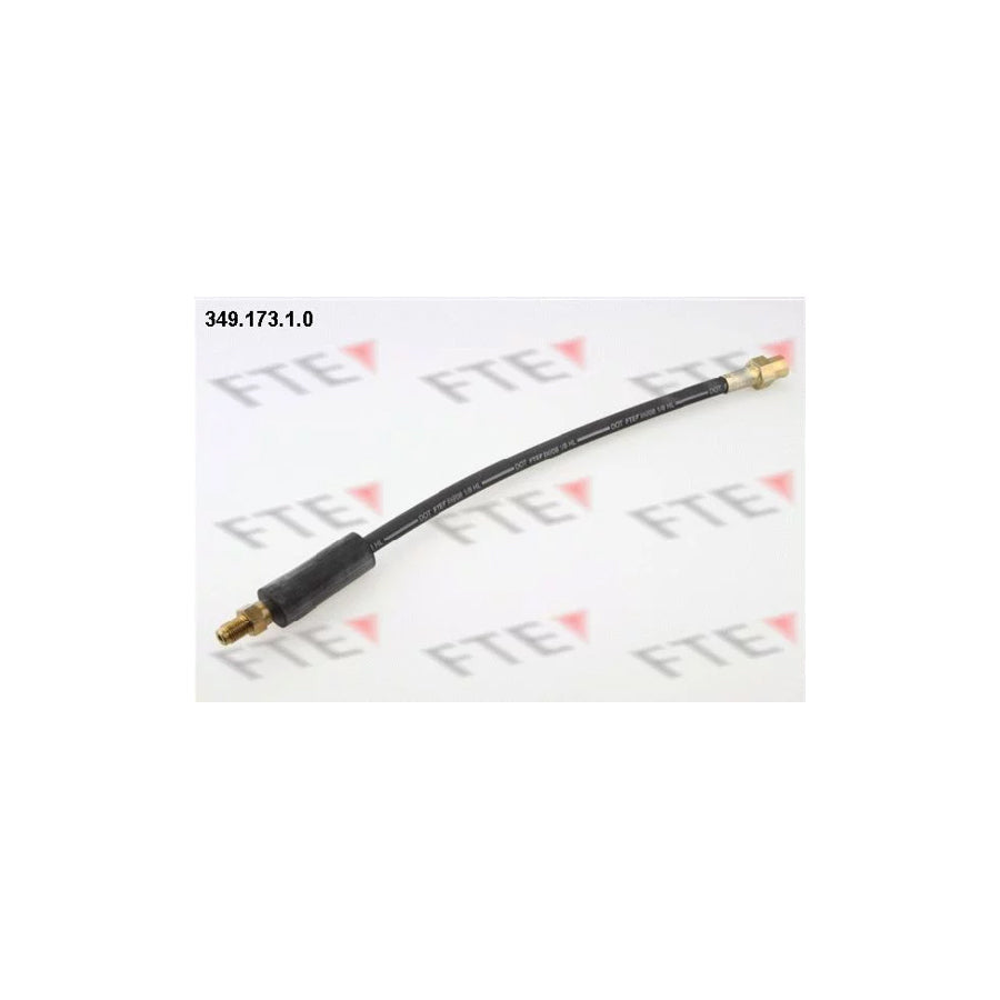 FTE 349.173.1.0 Brake Hose
