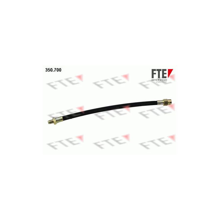 FTE 350.700 Brake Hose
