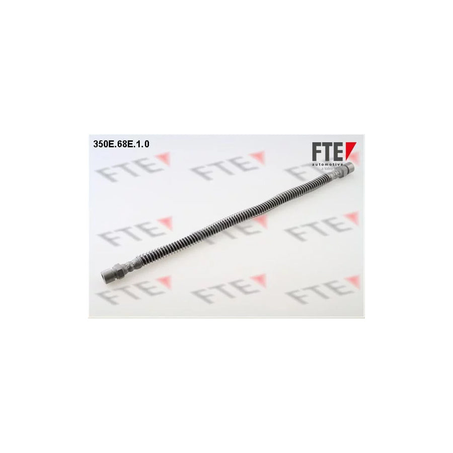 FTE 350E.68E.1.0 Brake Hose