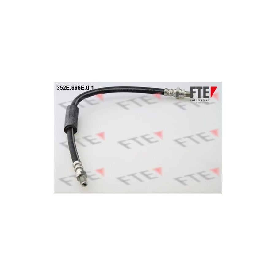 FTE 352E.666E.0.1 Brake Hose