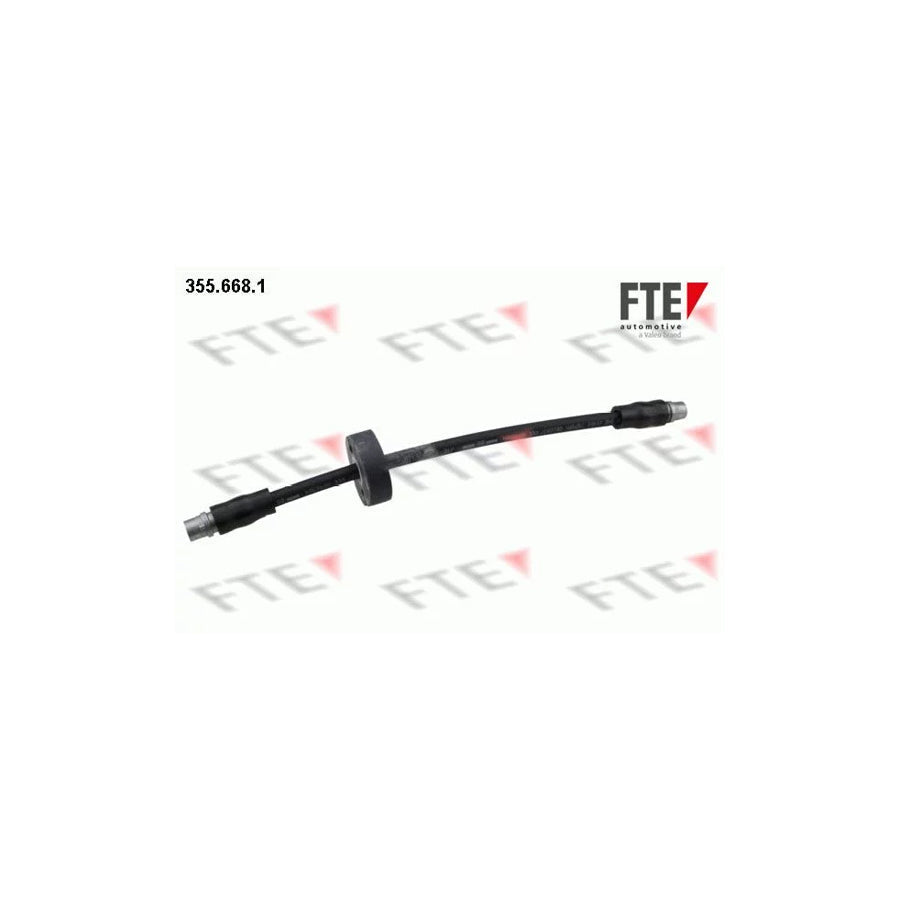 FTE 355.668.1 Brake Hose for Audi Allroad C5 (4Bh)