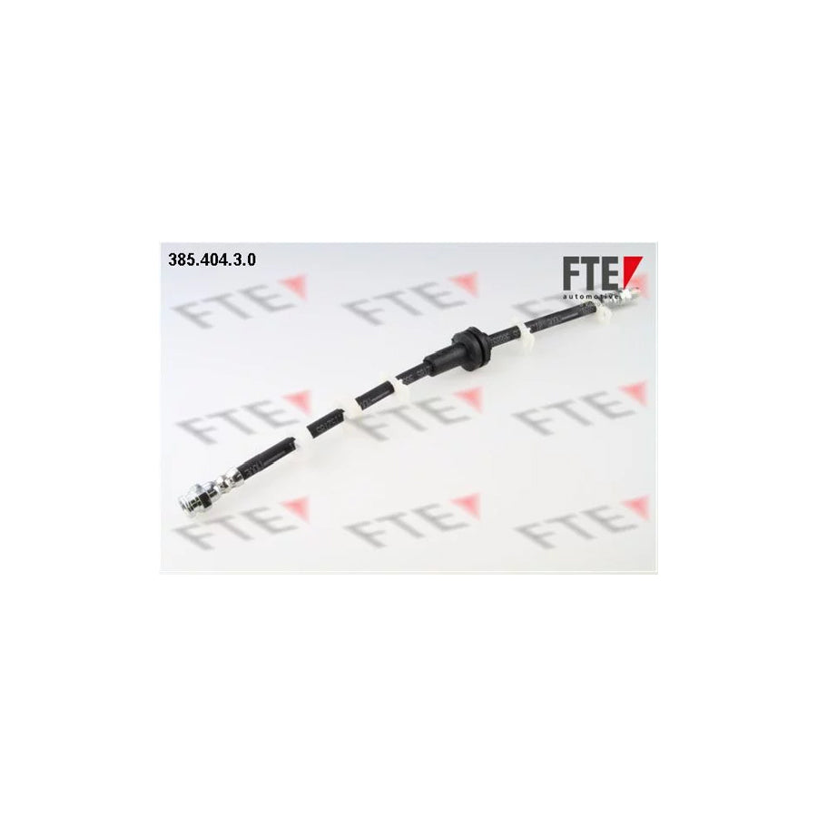 FTE 385.404.3.0 Brake Hose