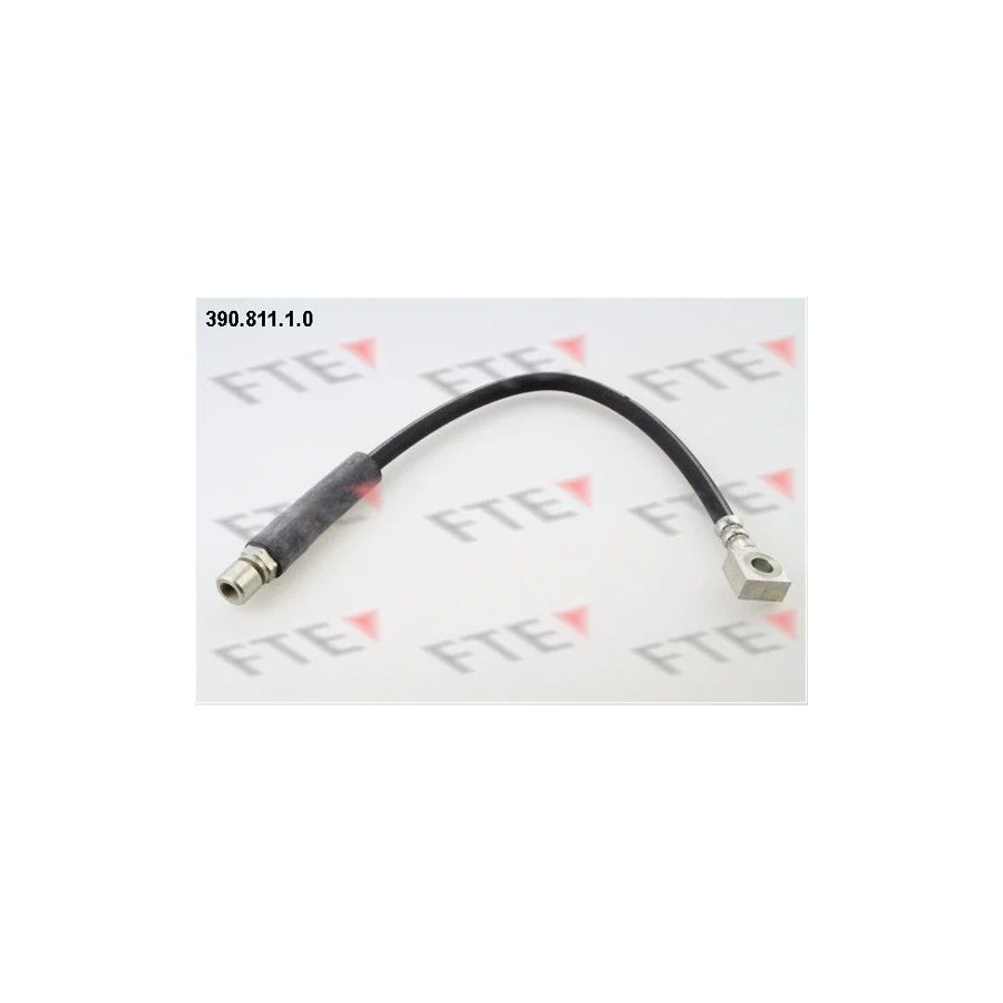 FTE 390.811.1.0 Brake Hose