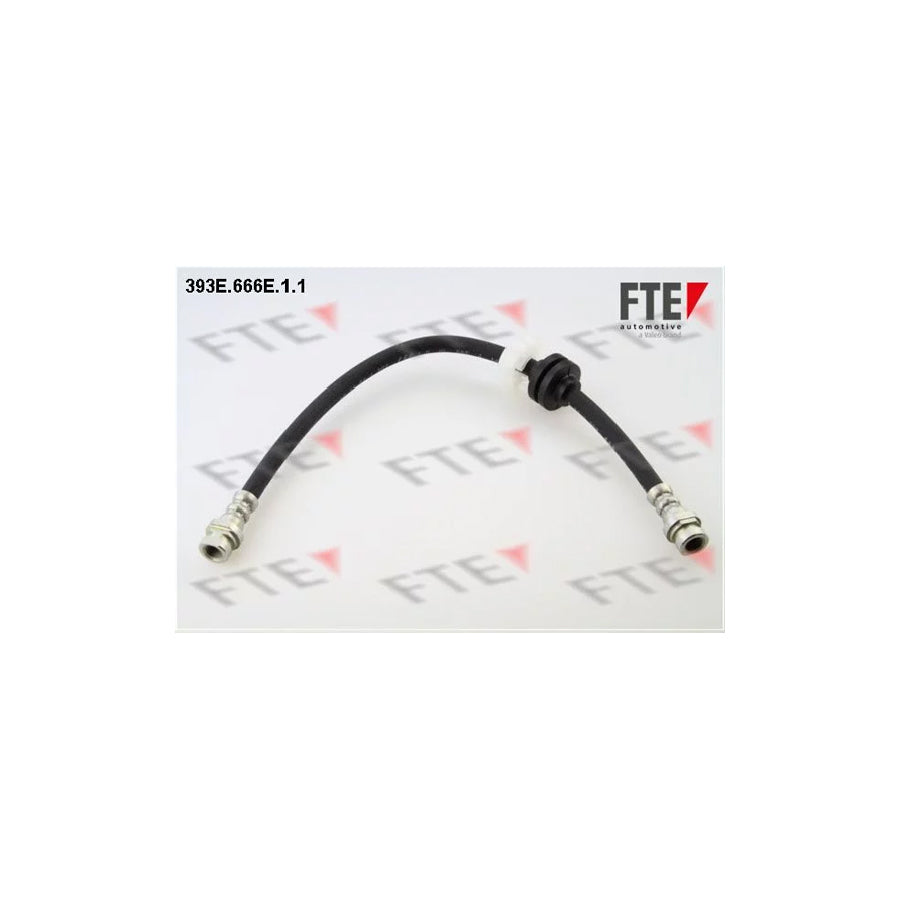 FTE 393E.666E.1.1 Brake Hose
