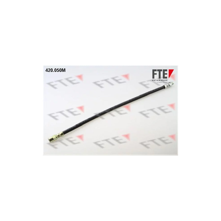 FTE 420.050M Brake Hose