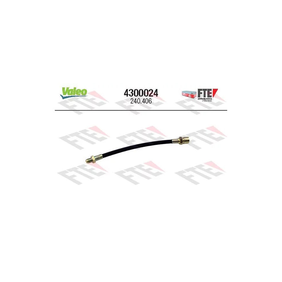 FTE 4300024 Clutch Hose