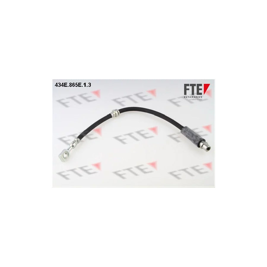 FTE 434E.865E.1.3 Brake Hose