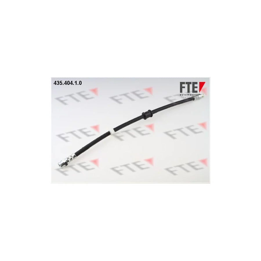 FTE 435.404.1.0 Brake Hose