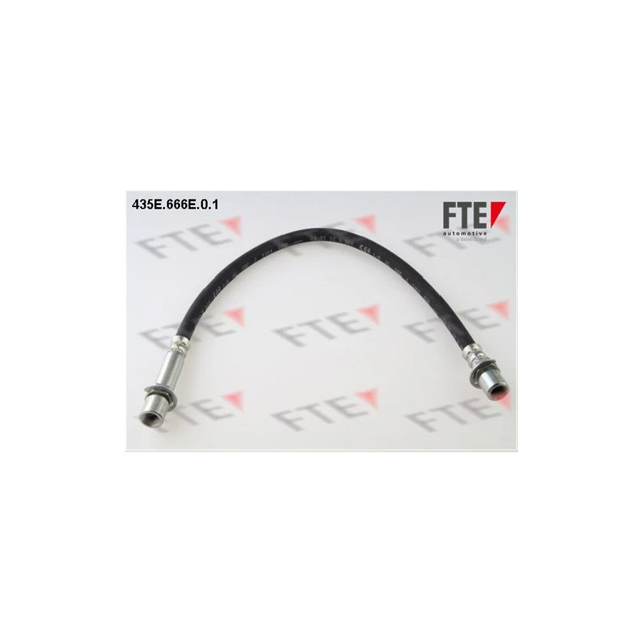 FTE 435E.666E.0.1 Brake Hose