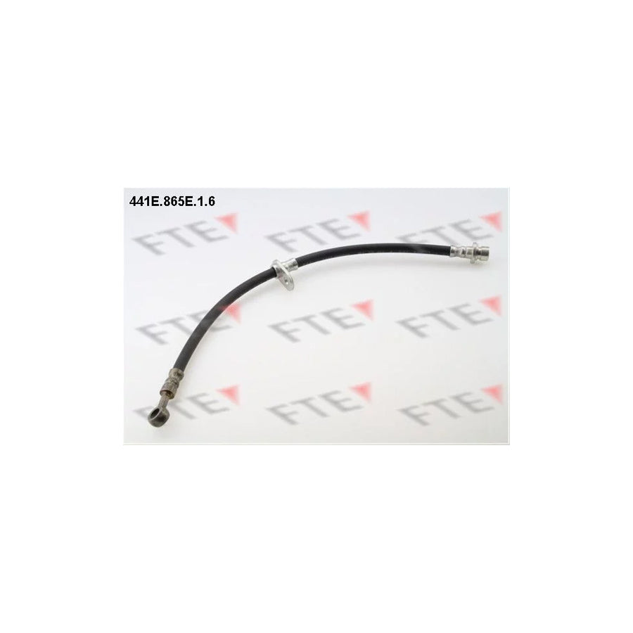 FTE 441E.865E.1.6 Brake Hose for Honda Logo (Ga3)