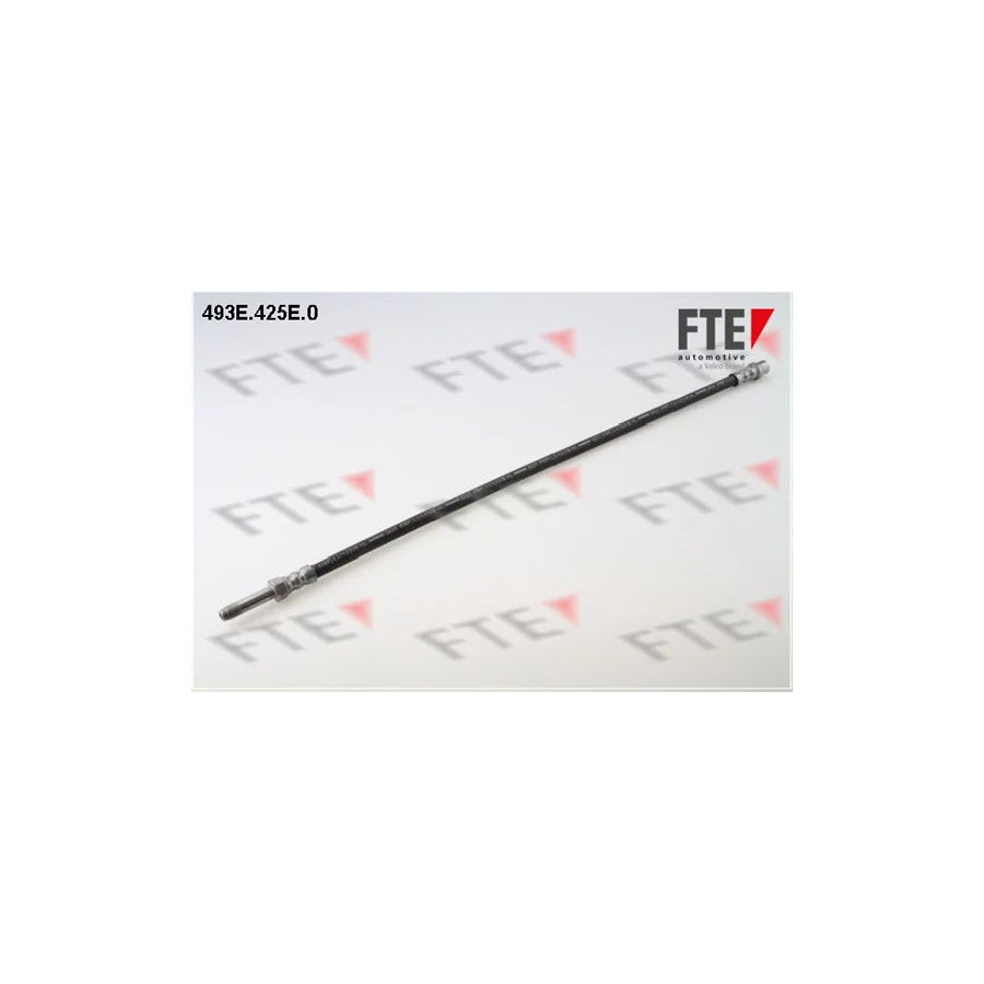 FTE 493E.425E.0 Brake Hose
