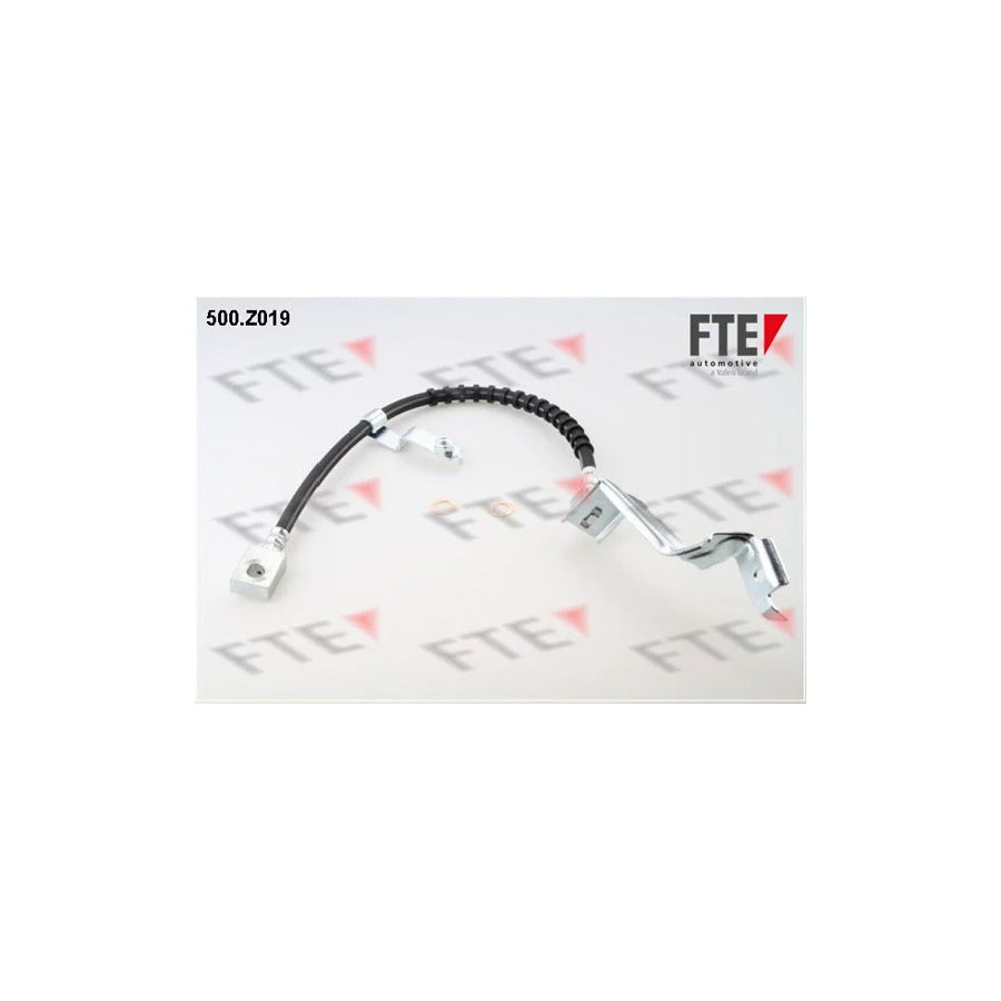 FTE 500.Z019 Brake Hose