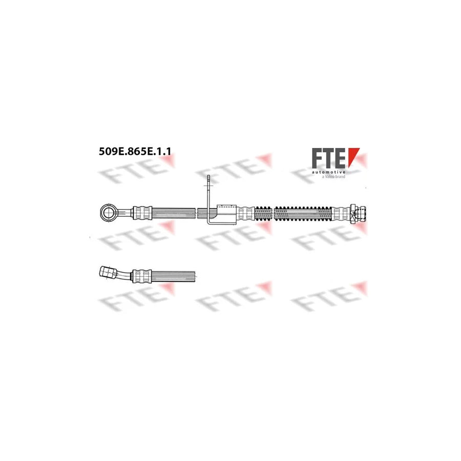 FTE 509E.865E.1.1 Brake Hose