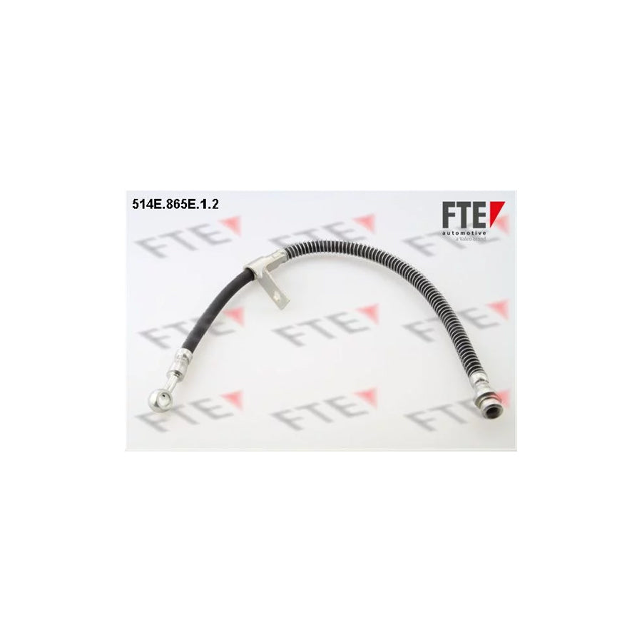 FTE 514E.865E.1.2 Brake Hose for Hyundai Matrix (Fc)