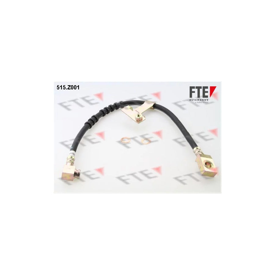 FTE 515.Z001 Brake Hose