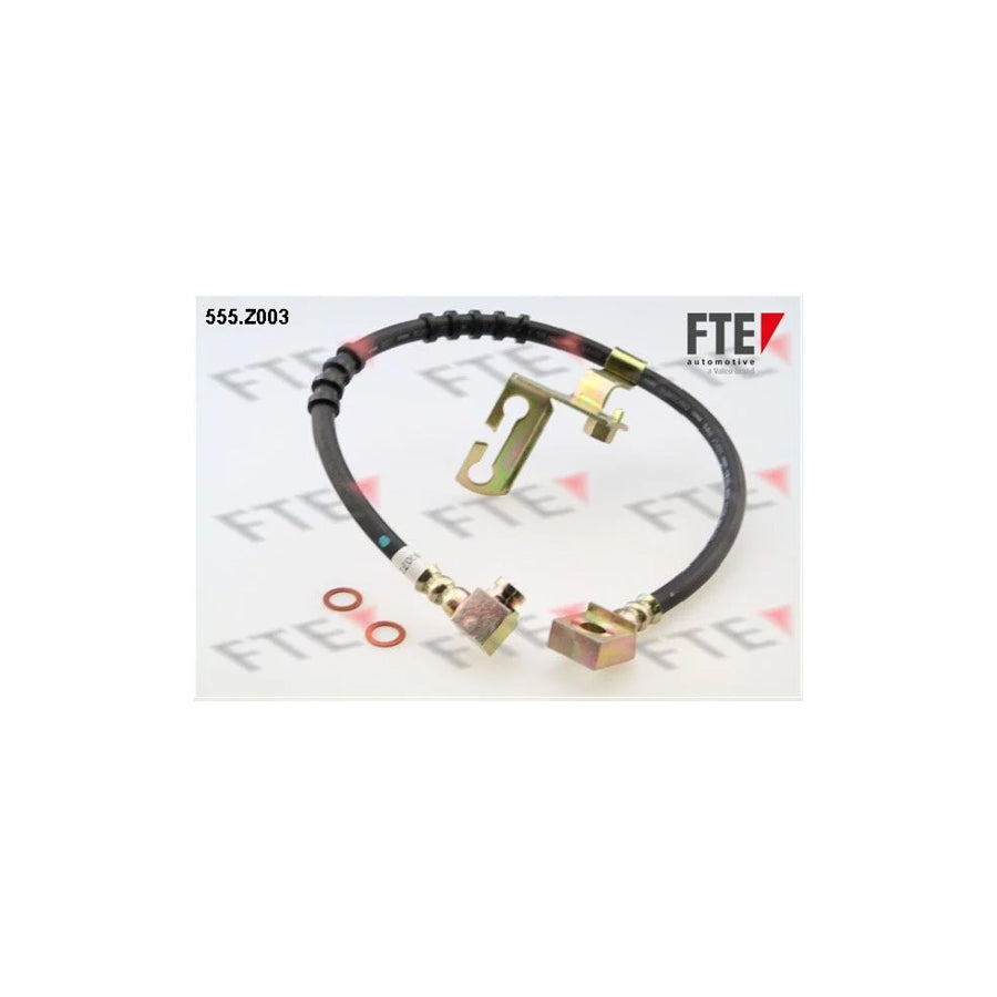 FTE 555.Z003 Brake Hose