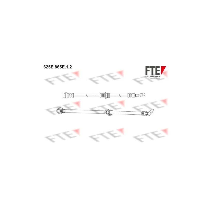 FTE 625E.865E.1.2 Brake Hose for Nissan Qashqai / Qashqai 2 I (J10, Nj10)