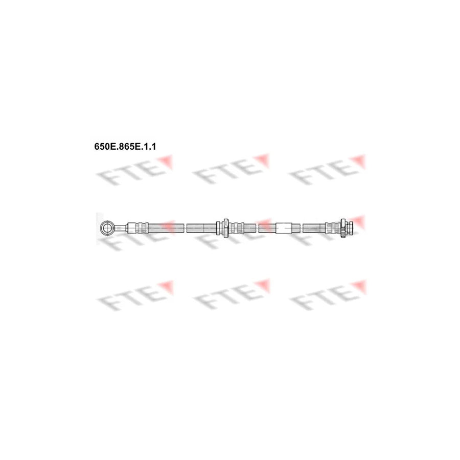 FTE 650E.865E.1.1 Brake Hose for Nissan Primera