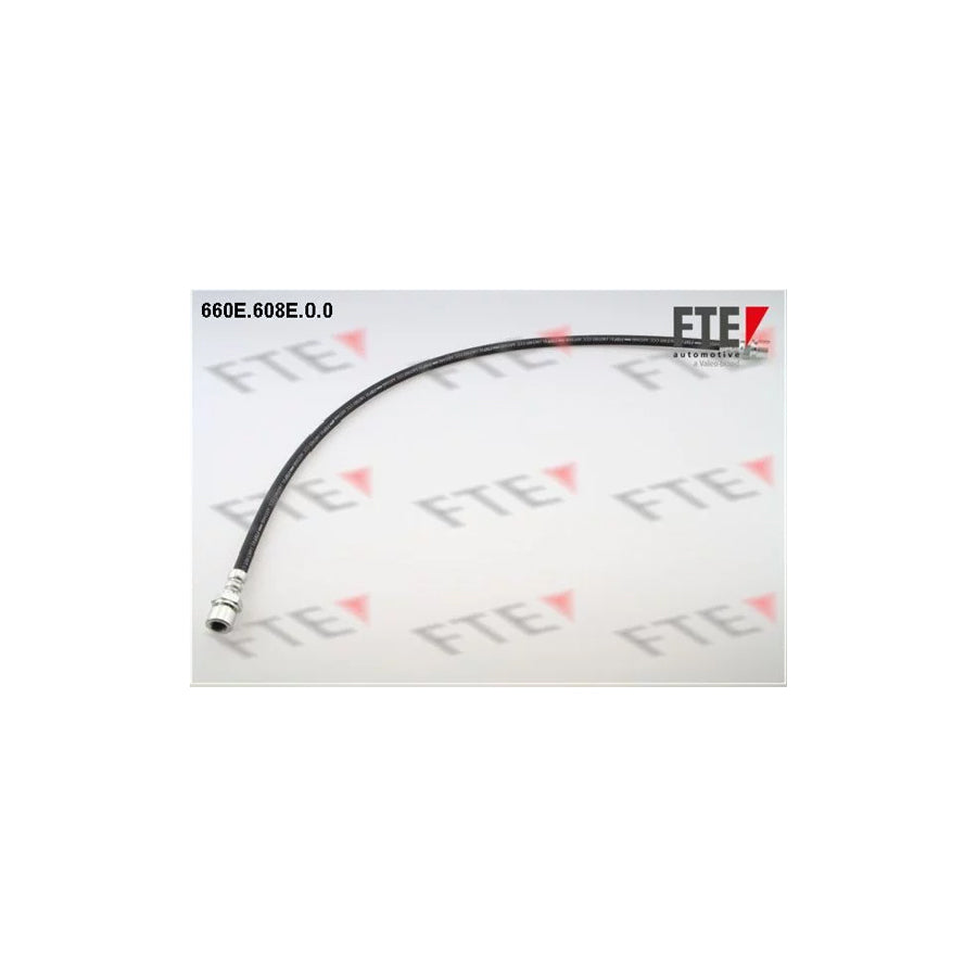 FTE 660E.608E.0.0 Brake Hose