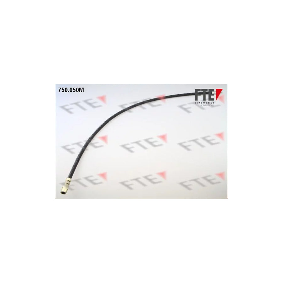 FTE 750.050M Brake Hose