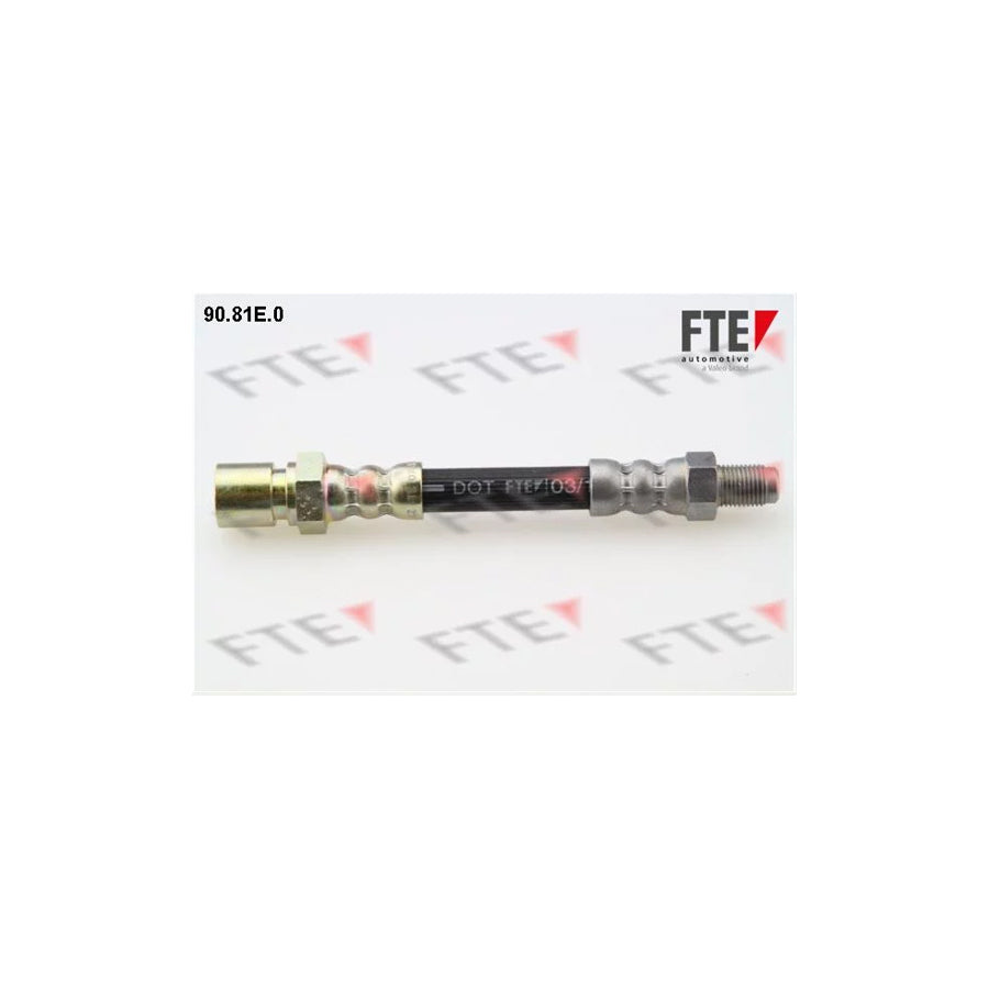 FTE 90.81E.0 Brake Hose