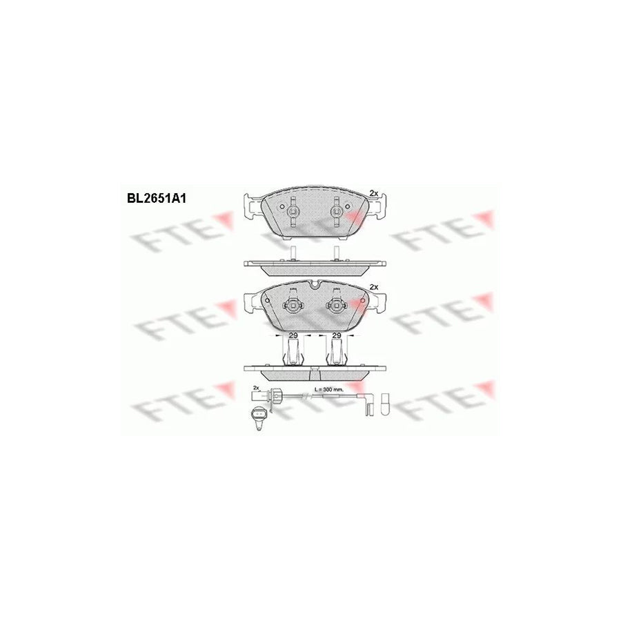FTE 9010890 Brake Pad Set