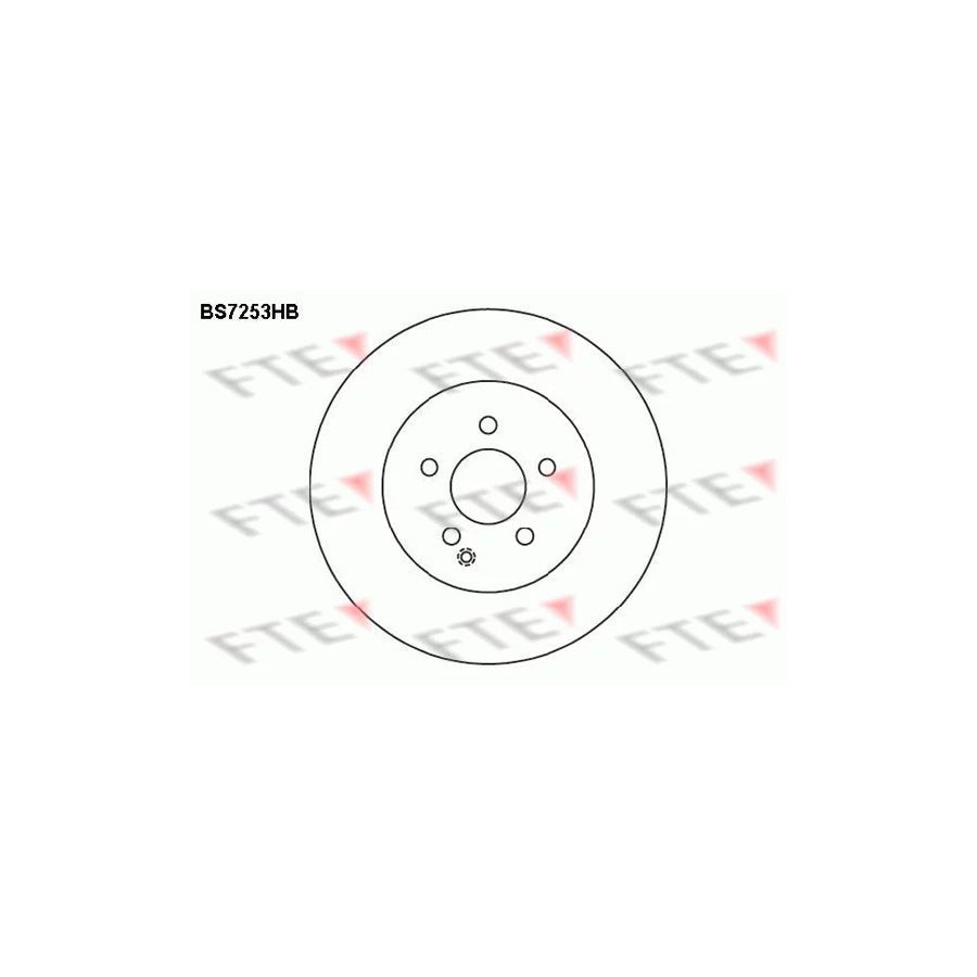 FTE 9081328 Brake Disc