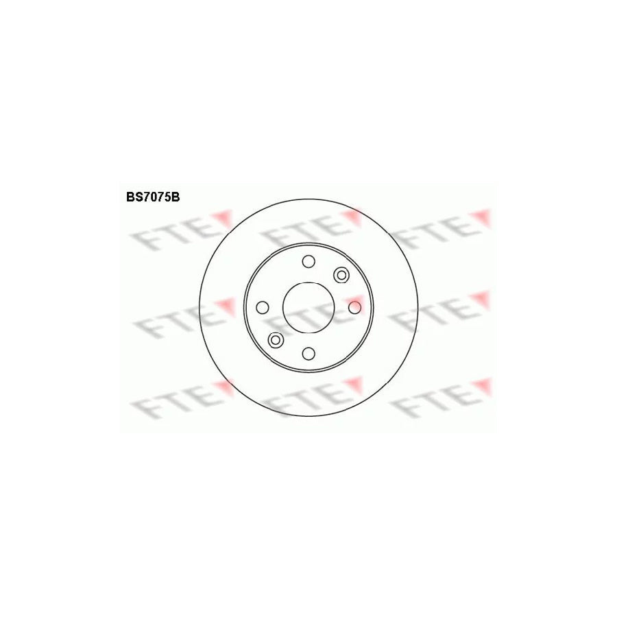 FTE 9082499 Brake Disc for KIA Rio