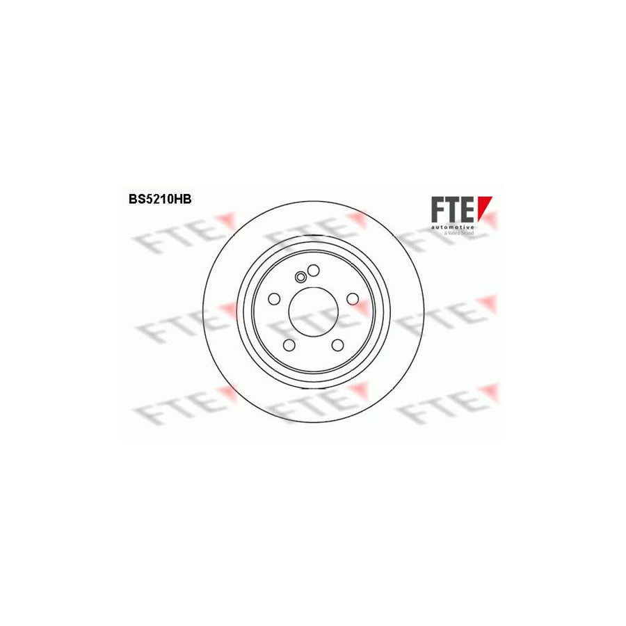 FTE 9082553 Brake Disc Suitable for Mercedes-Benz S-Class